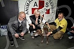 Singer Jelena Karleusa and Deputy Mayor Goran Vesic visited the association Animal Rescue Serbia.Pevacica Jelena Karleusa i zamenik gradonacelnika Goran Vesic obisli su udruzenje Animal Rescue Serbia.
